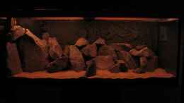 aquarium-von-oliver-h--malawi-becken-325l_Lichttest im trockenen