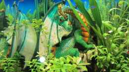 aquarium-von-hobbl-dragonslayer---lido-120_Einer wacht über alle ...