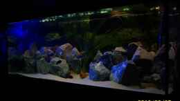 aquarium-von-47-malawi-malawie-rocks_Mond die 2.