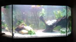 aquarium-von-sunnyboy-72-becken-22708_mit Wasser gefüllt