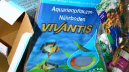 aquarium-von-tobsen-garnelen-nano-becken-nur-noch-als-beispiel_Nährboden