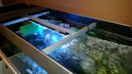 aquarium-von-mischa-wilken-becken-22990-steht-zum-verkauf-_Die selbstgebaute LED Halterung