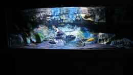 aquarium-von-mischa-wilken-becken-22990-steht-zum-verkauf-_Das Becken von Zoo Center Tausz eine Ma??anfertigung
