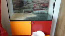 aquarium-von-marcel--meine-malawizuchtstube_Malawizuchtstube im Aufbau (Stufe1)