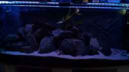 aquarium-von-pierre-der-zweite-versuch-nur-noch-beispiel-_Handybild mit LEDs