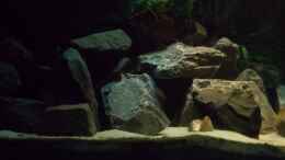 aquarium-von-pierre-der-zweite-versuch-nur-noch-beispiel-_Neues Hauptbild mit LED Beleuchtung