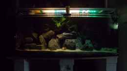 aquarium-von-pierre-der-zweite-versuch-nur-noch-beispiel-_Gesamtansicht mit Alter Beleuchtung