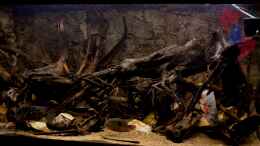 aquarium-von-gguardiann-hills-of-rio-negro-deadwood-nur-noch-beispiel_Nach dem Tuning: Rechte Seite