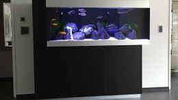 aquarium-von-flightsim-my-malawi-dream_Fessler-Aquarium