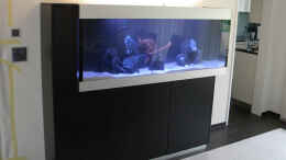 aquarium-von-flightsim-my-malawi-dream_Installation des Aquarium
