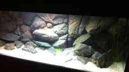 aquarium-von-sunny73-malawi-dream-2012_Einlaufphase ohne Fische (altes Bild)