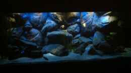 aquarium-von-sunny73-malawi-dream-2012_Sonnen auf und Untergang