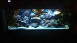 aquarium-von-sunny73-malawi-dream-2012_Soooo, endlich fertig