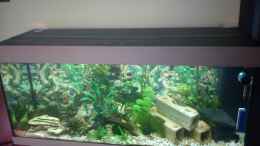 aquarium-von-martin-ruediger-juwel-rio-240_Juwel Rio 240