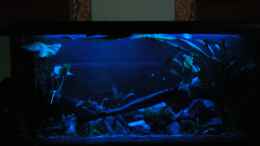 aquarium-von-falk-bellmann-becken-23302_von vorn bei mondlicht (langzeitbelichtung)