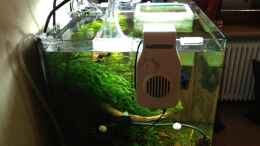 aquarium-von-walde-cube-60_Nano CoolAir eco 