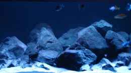 aquarium-von-cariba-malawibiotop---1-400-liter_Anderer Beleuchtungsmodus