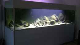 aquarium-von-cariba-malawibiotop---1-400-liter_