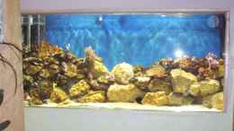 aquarium-von-katja-grasser-becken-2382_Becken vor ca. 1 Jahr