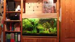 aquarium-von-annika-becken-23904_Das verstärkte IKEA-Aquarienregal :)