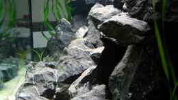 aquarium-von-manfred-b--stoneheaven_Seitenansicht