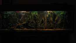 aquarium-von-baembel-little-rio-negro_Little Rio Negro