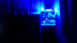 aquarium-von-haens84---littel-ozean--_Nachtlicht