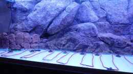 aquarium-von-guzzi-werner-suedamerika-am-rhein_Rückwand Rocky, mit Juwel Terrasse