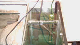 aquarium-von-armin-lange-becken-2470_3-Kammer Innenfilter ca. 60L Filtervolumen
