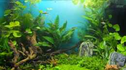 aquarium-von-axolotl-guppytraum-nur-noch-als-beispiel_Gesamtbild 23.06.13