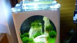 aquarium-von-tanja4-nano-enie-cube_Nanocube1