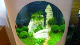 aquarium-von-tanja4-nano-enie-cube_Ansicht2