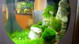 aquarium-von-tanja4-nano-enie-cube_Durchblick auf anderes Aquarium