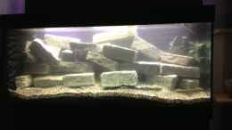 aquarium-von-ralf-schmitz-wiedereinstieg-begleiteter-beckenaufbau_Becken beim Filtereinlaufen.. (etwas unscharf)