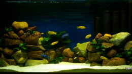 aquarium-von-hr-lampe-lampes-malawisee---saulosi-artenbecken_Bodenrund Aquariensand 04 - 1,4 mm und Feldsteine