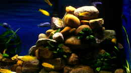 aquarium-von-hr-lampe-lampes-malawisee---saulosi-artenbecken_Steinaufbau vor den Pumpen nach der Erhöhung