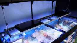 aquarium-von-micha-michas-great-reef-challenge_Hauptbeleuchtung incl. Rahmen (Sicht von oben)