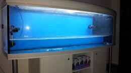 aquarium-von-christian-hoese-meerwasser-aquarium_die ersten 160 Liter Osmose Wasser am 13.12.12