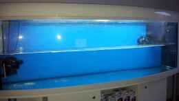 Aquarium einrichten mit weitere 120 Liter Osmose Wasser am 16.12.12