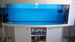 Aquarium einrichten mit weitere 160 Liter Osmose Wasser am 19.12.12