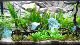 aquarium-von-zewana-becken-25105_Amazon Day gegen JBL Flora Glow getauscht. 22.12.12