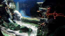 aquarium-von-snooze-juwel-vision-190_Nach der Wässerung