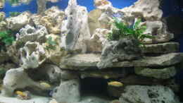 aquarium-von-helmut-loehr-becken-2524_Höhle für die Malawies