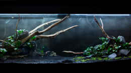 aquarium-von--der-oesterreicher--spirit-of-asia-2-0_Hartscape