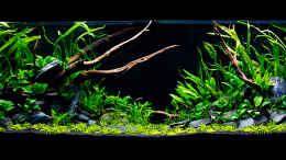 aquarium-von--der-oesterreicher--spirit-of-asia-2-0_Tag 1 ---> 15.12.2012