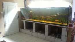 aquarium-von-kellerkind-amazonas-xl_total