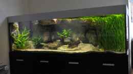 aquarium-von-crenii-becken-2548_Front mit Superdigispiegelreflex aufgenommen von User Lars S