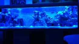 aquarium-von-neues-becken-720-l-becken-25658_