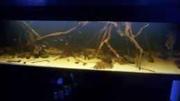 aquarium-von-dr-fishtank-becken-25669_