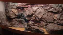 aquarium-von-tobias-sch--vision-malawi-nur-noch-beispiel_Test einbau der Rückwand und Steine